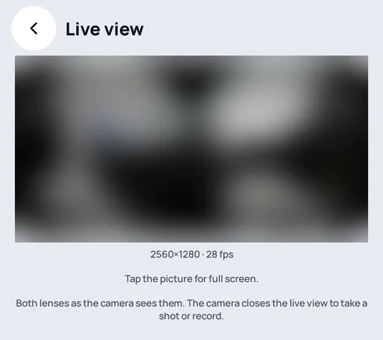Live view from the camera